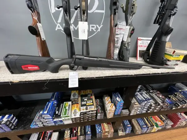 Savage Axis 22-250