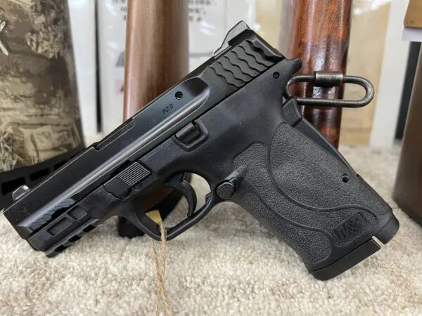 Smith & Wesson Shield EZ 380 - Image 2