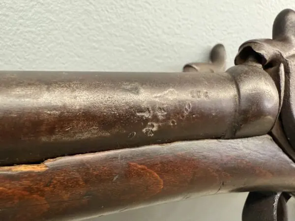 European Black Powder SxS - Image 2