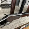 Stoeger 2201 22 mag - Image 3
