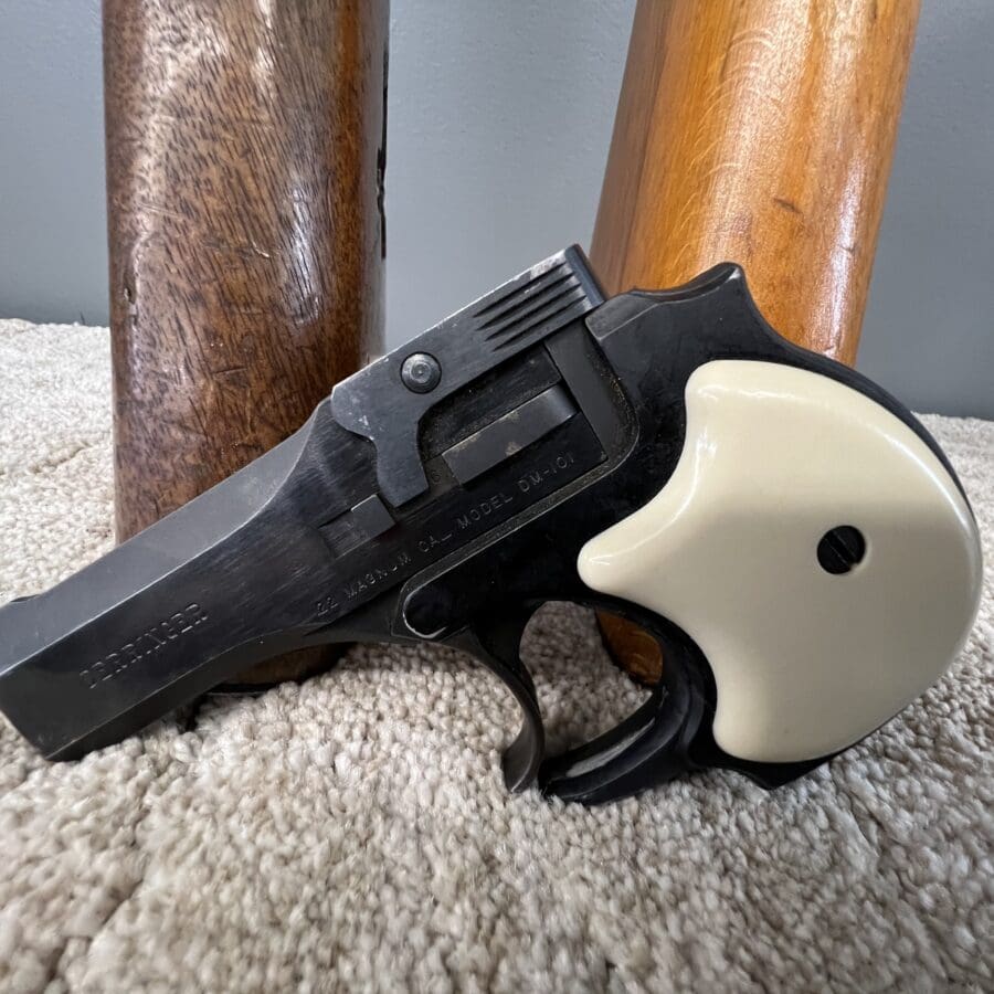 High Standard DM-101 22mag